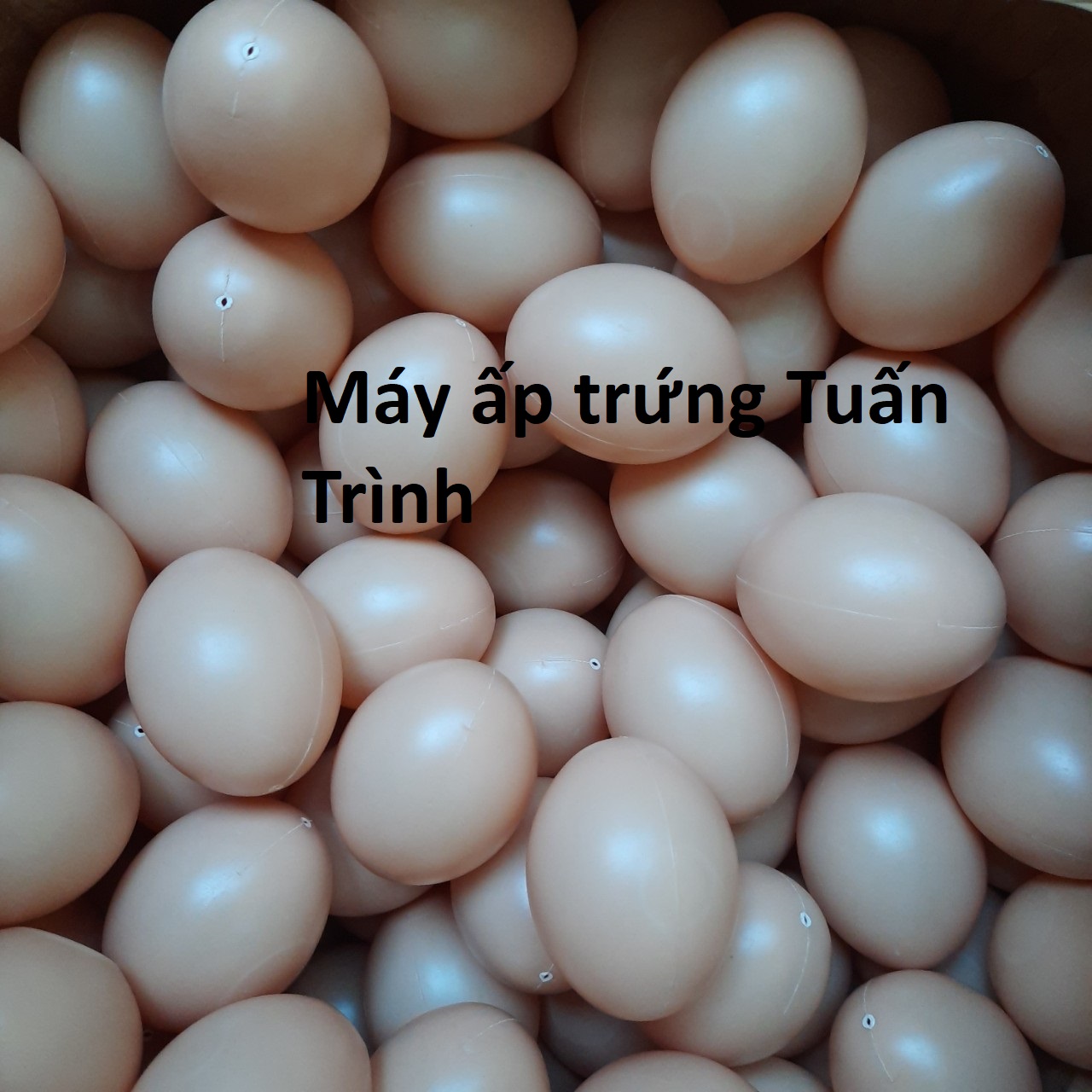 Trứng gà giả
