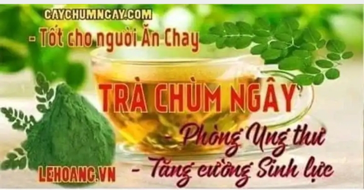 Trà túi lọc chùm ngây xạ đen linh chi