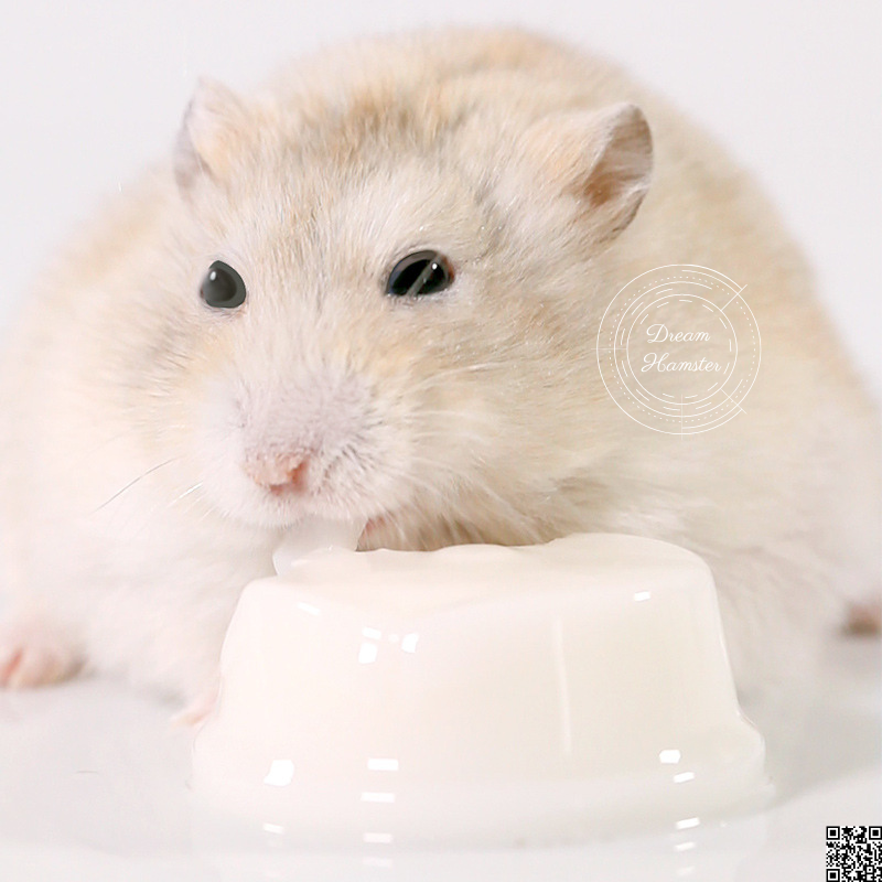Pudding sữa dê Bucatstate cho hamster, thỏ, bọ, nhím, chinchillas...