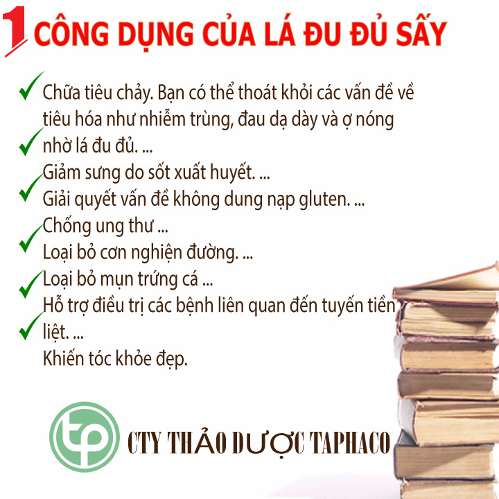 Lá đu đủ khô 500g - Hỗ trợ cải thiện sức khỏe người sử dụng