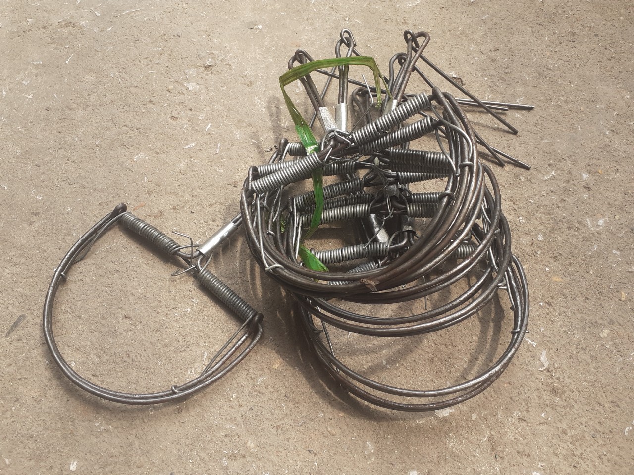 combo 20 bẫy chuột bán nguyệt