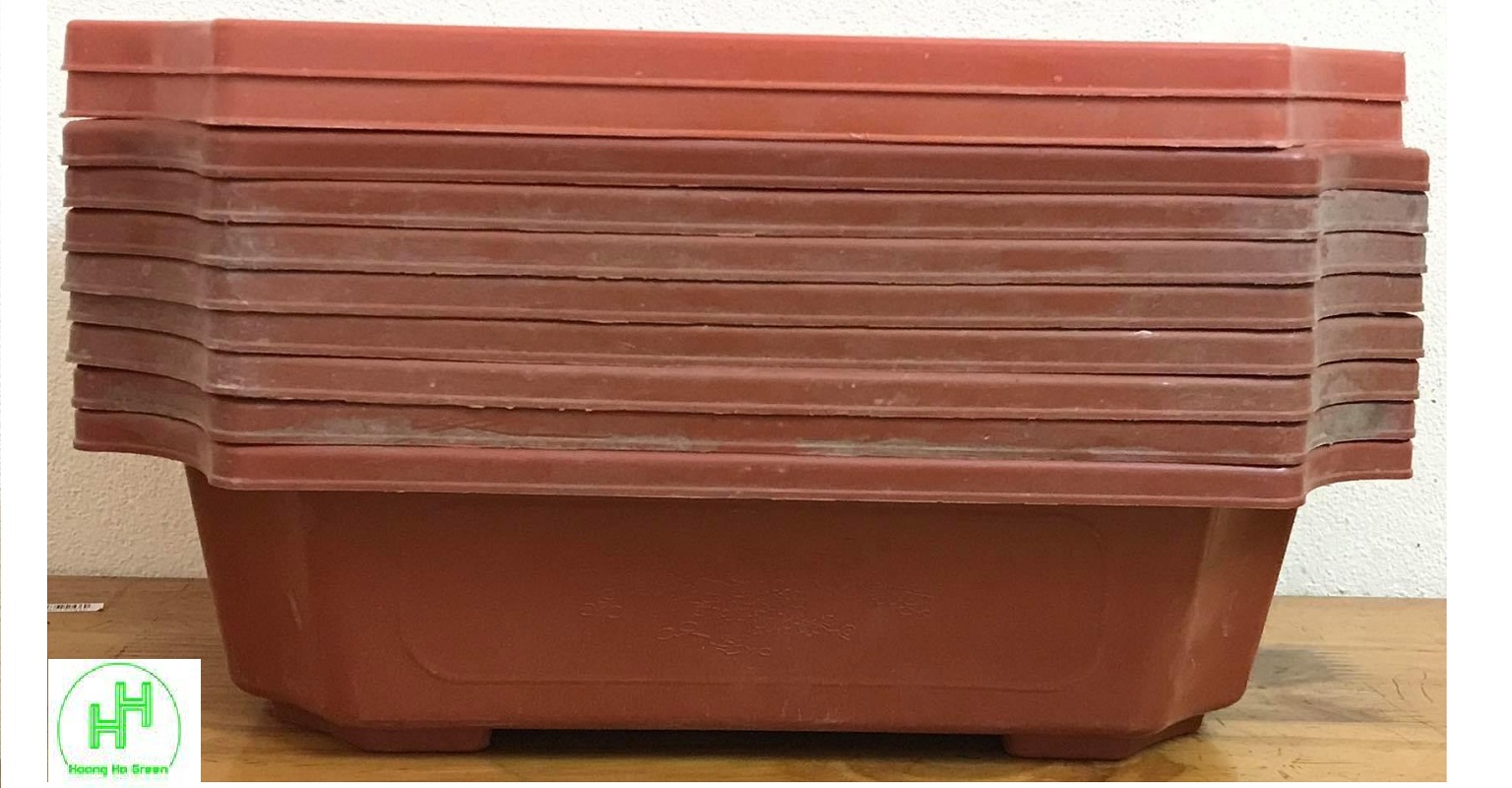 Combo 10 Chậu Nhựa Trồng Cây Mini Hình Chữ Nhật Màu Nâu Siêu Đẹp Kích Thước 28x20x8 Cm