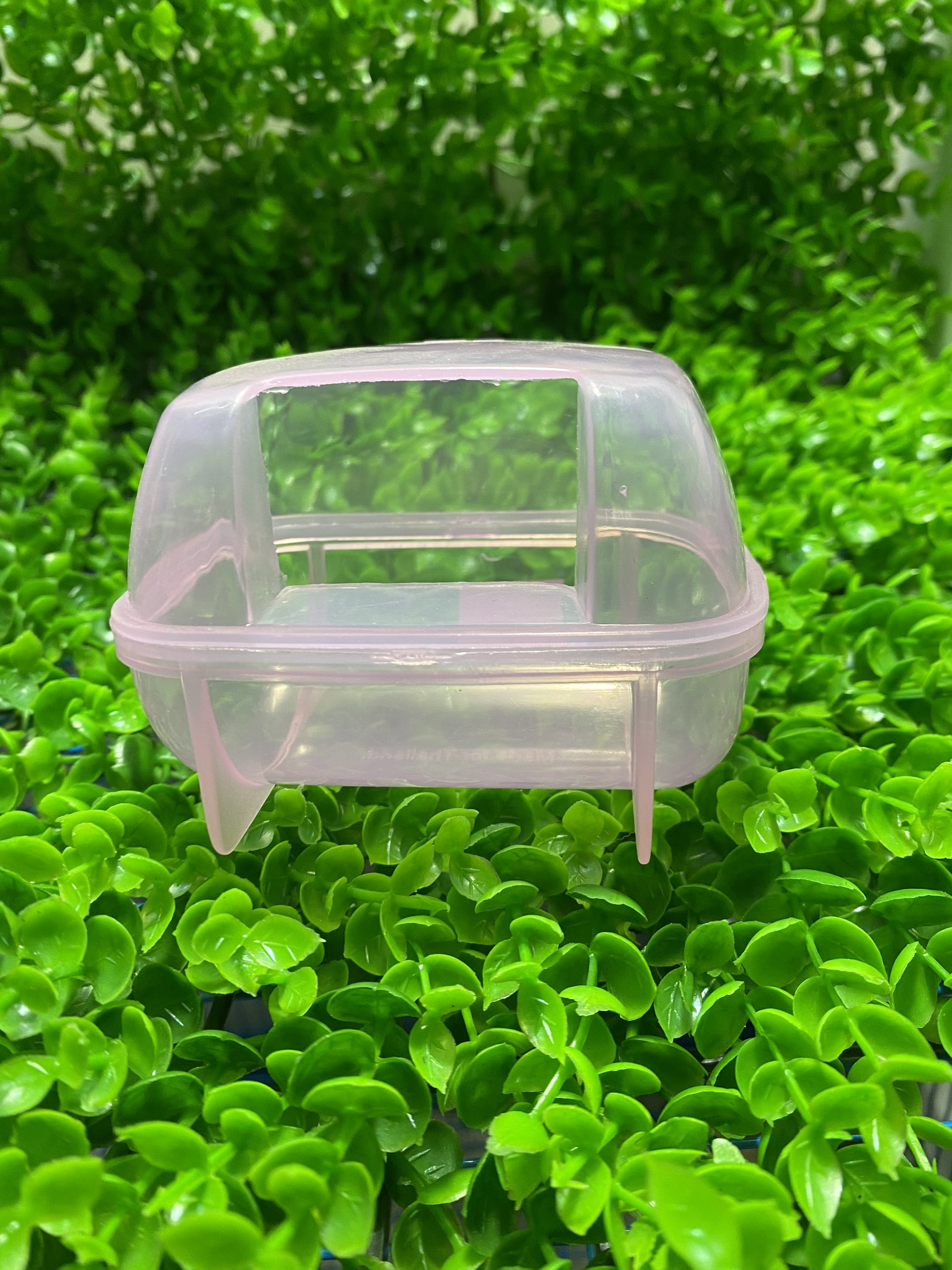 Nhà tắm nhỏ cho hamster