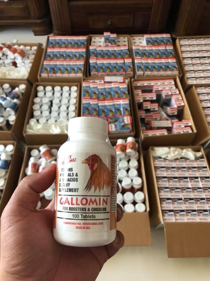 Combo Gallomin + B15 & B12 SF ( bản mới ) cho gà chế độ đá