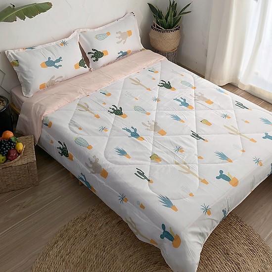 Set 5 món cotton poly nhập Mẫu Xương Rồng