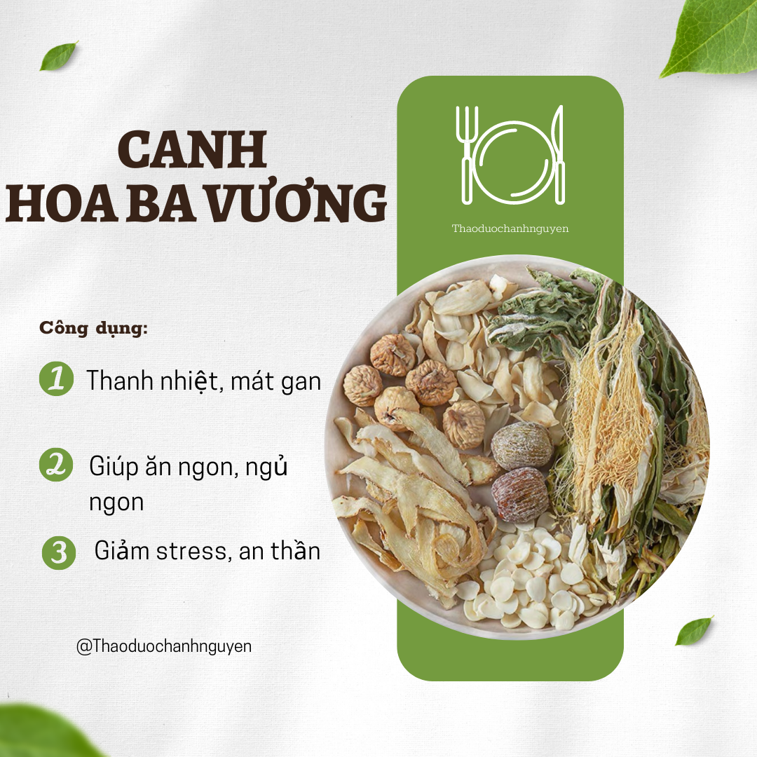 Canh dưỡng sinh thực dưỡng, set canh đài loan đẩy lùi ung thư, tăng cường sức khỏe - Thảo Dược Hạnh Nguyên