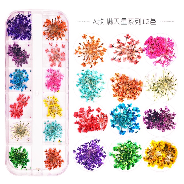 💐 hoa khô nhí pháo bông trang trí hộp 24 bông chuyên làm nail