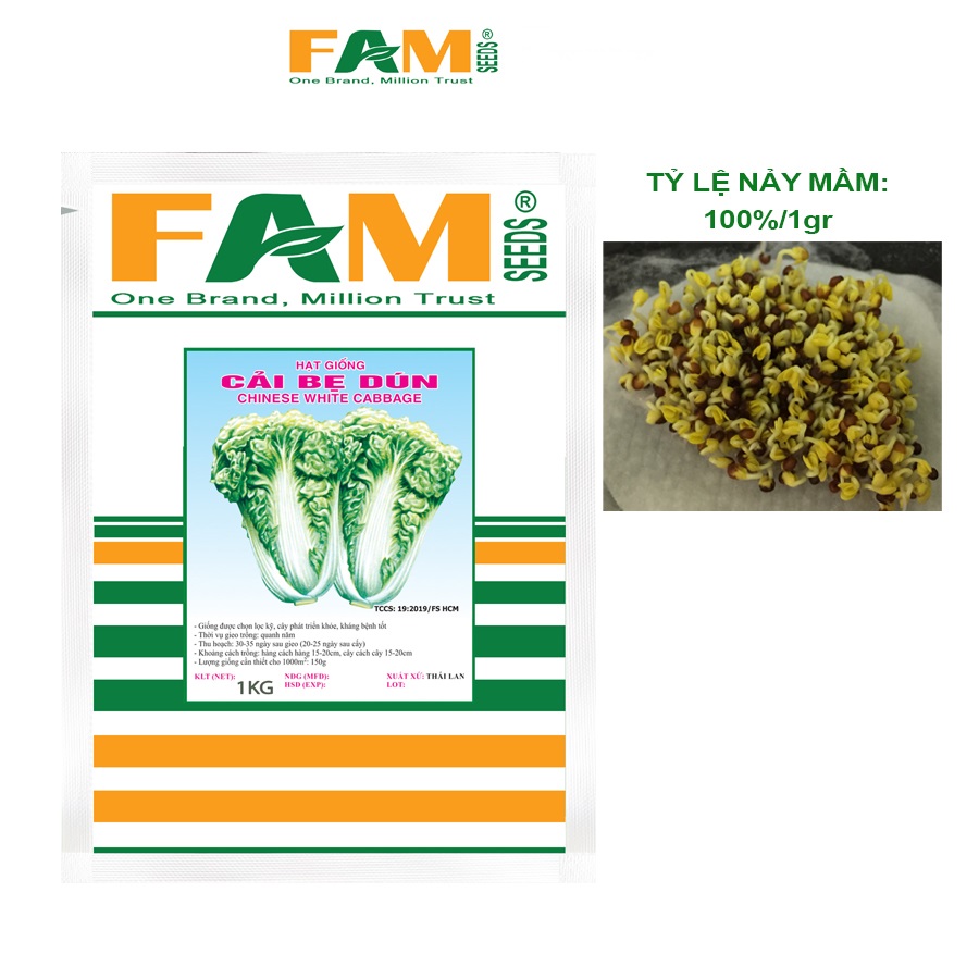 Hạt giống cải bẹ dún cuộn đầu - gói 1kg