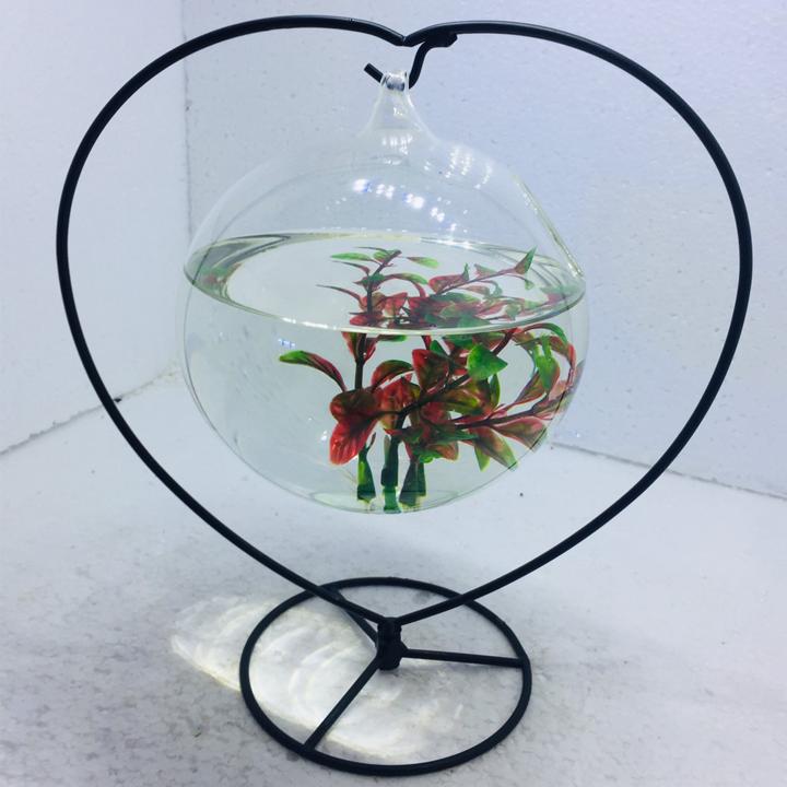 Bể cá mini để bàn treo TIM 16