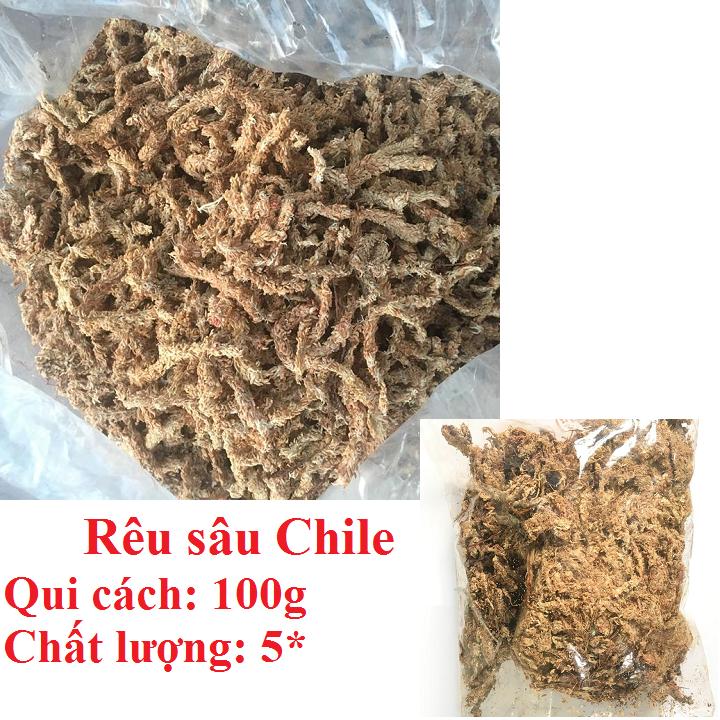 Gói 100g Rêu con sâu Chile , dớn chile trồng lan Giá thể giữ ẩm tuyệt vời cho phong lan, hay còn gọi là rêu sâu.
