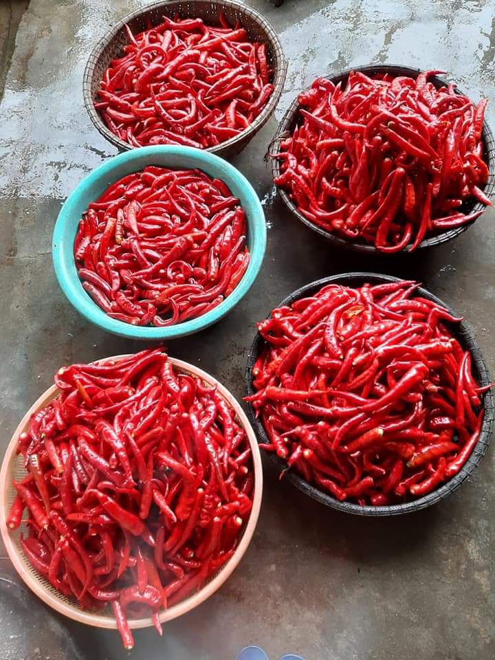 Ớt bột Huế  siêu cay chất lượng 500gr nhà làm