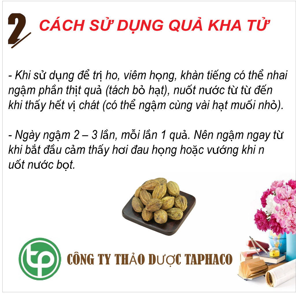 [Hot] Tan Phat Dried Kha Zi 500g - Tan Phat Herbs