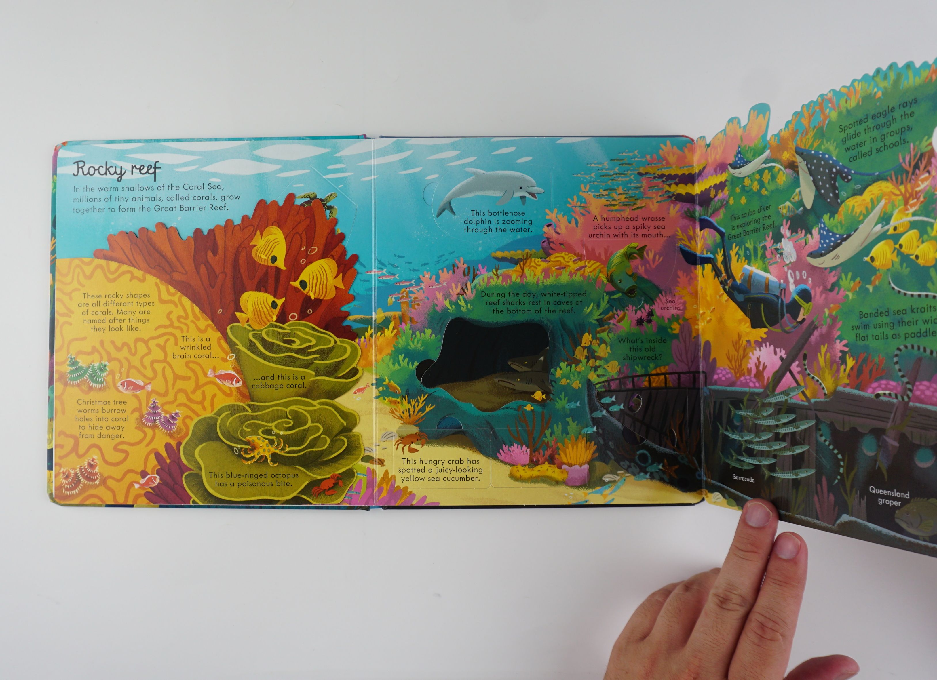 Look Inside Seas and Oceans