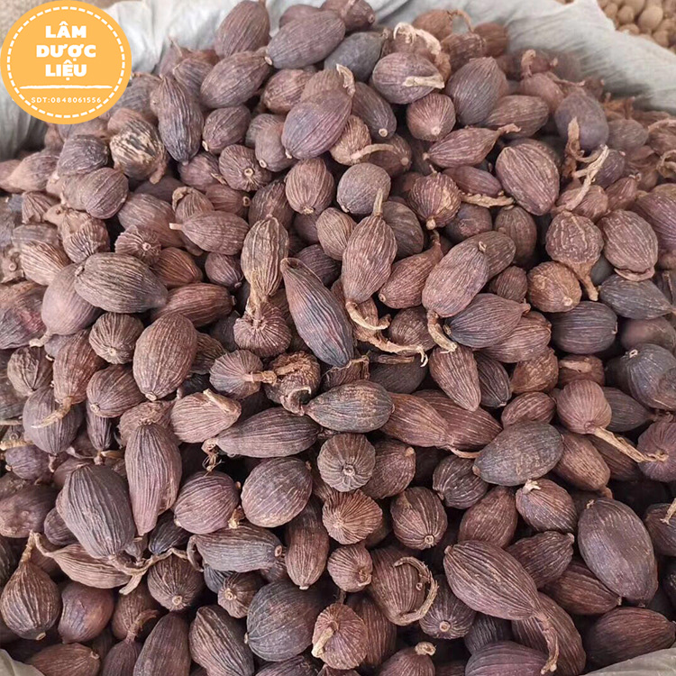 1kg Thảo quả khô gia vị nấu phở