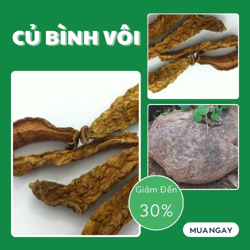 [Hàng mới về] Củ bình vôi khô 1kg cao cấp - chuyên dùng để sắc nước và pha trà cực kỳ hiệu quả