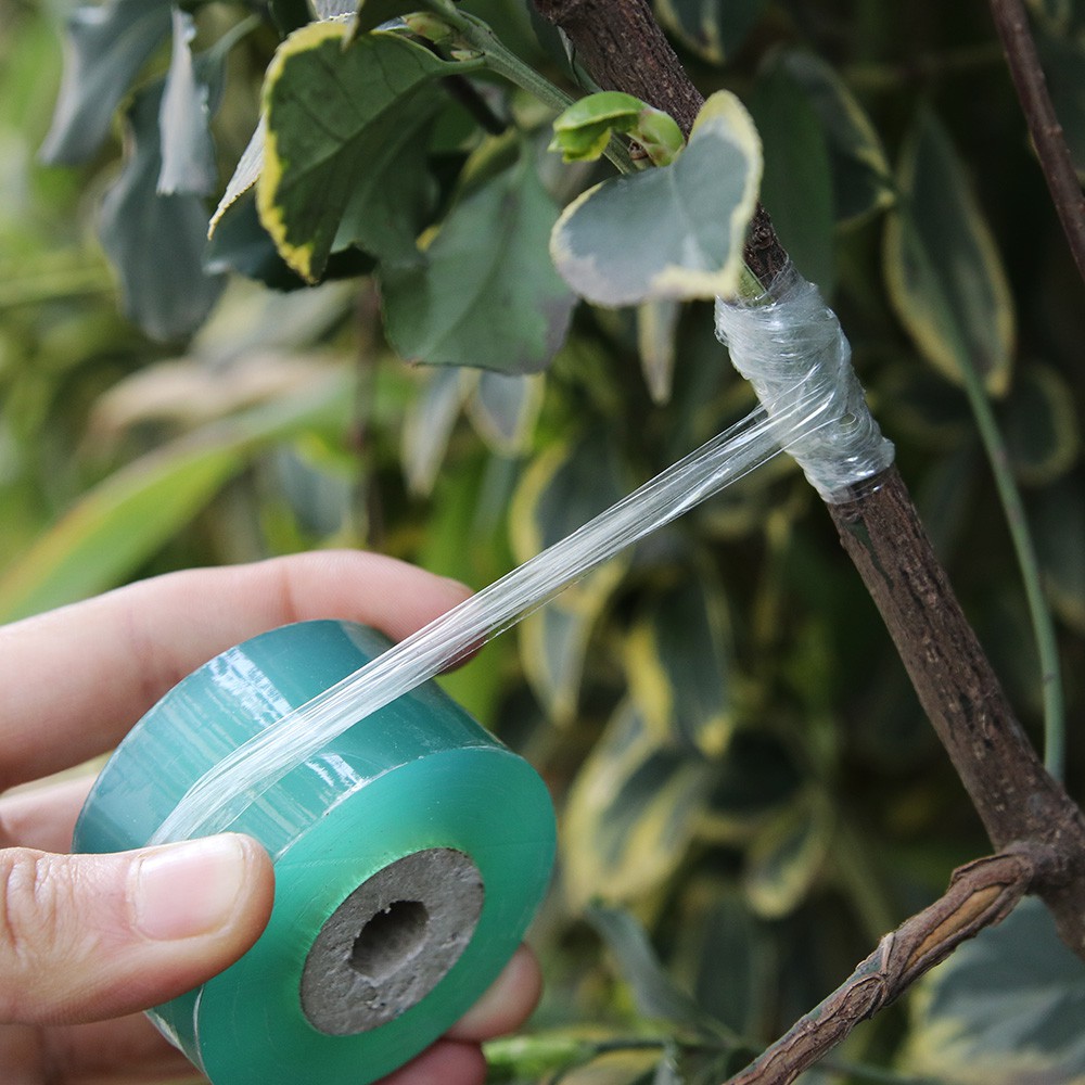 Cuộn băng keo ghép cành, chiết cành (xanh)