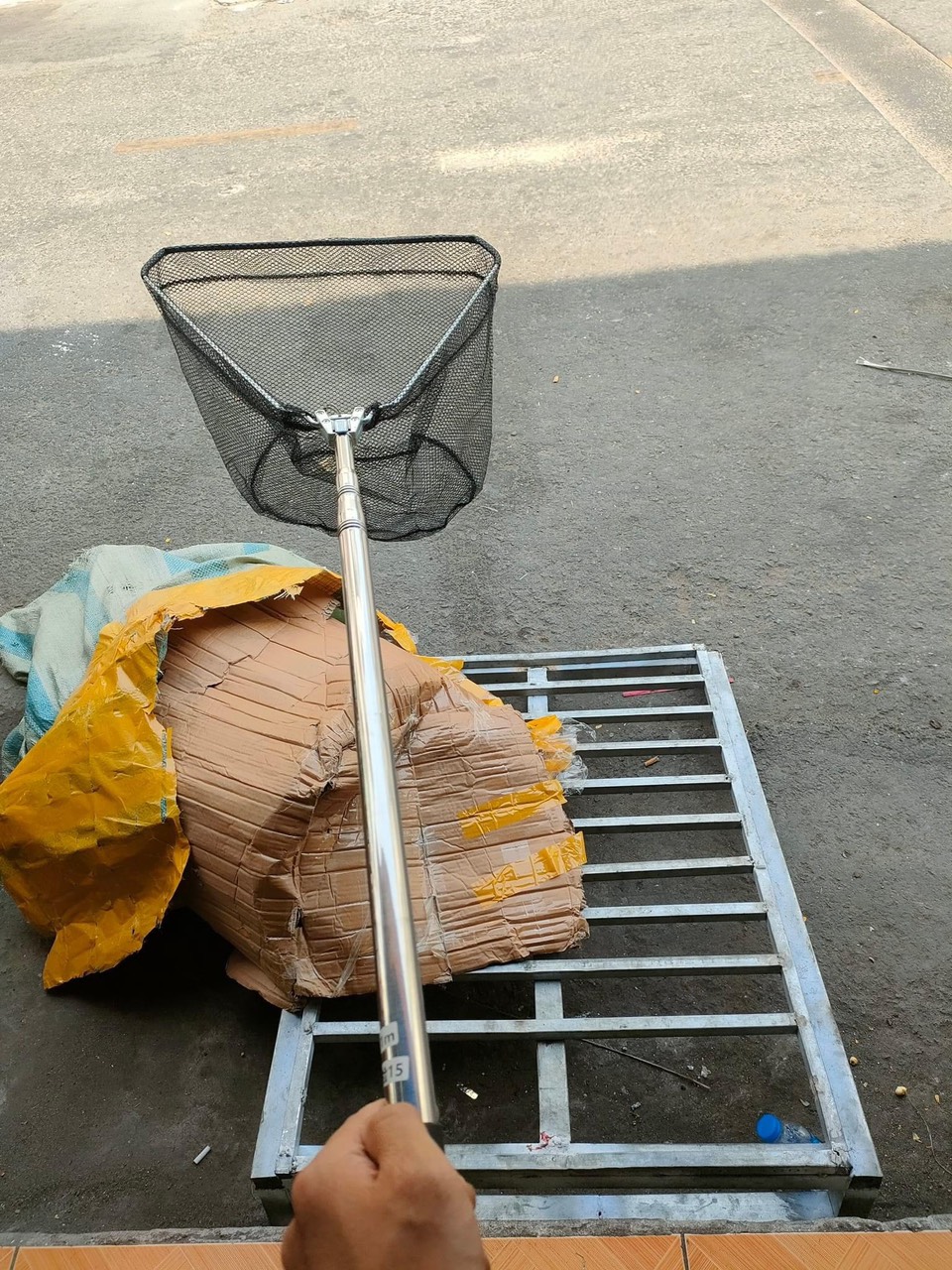 bộ vợt vớt cá hình tam giác