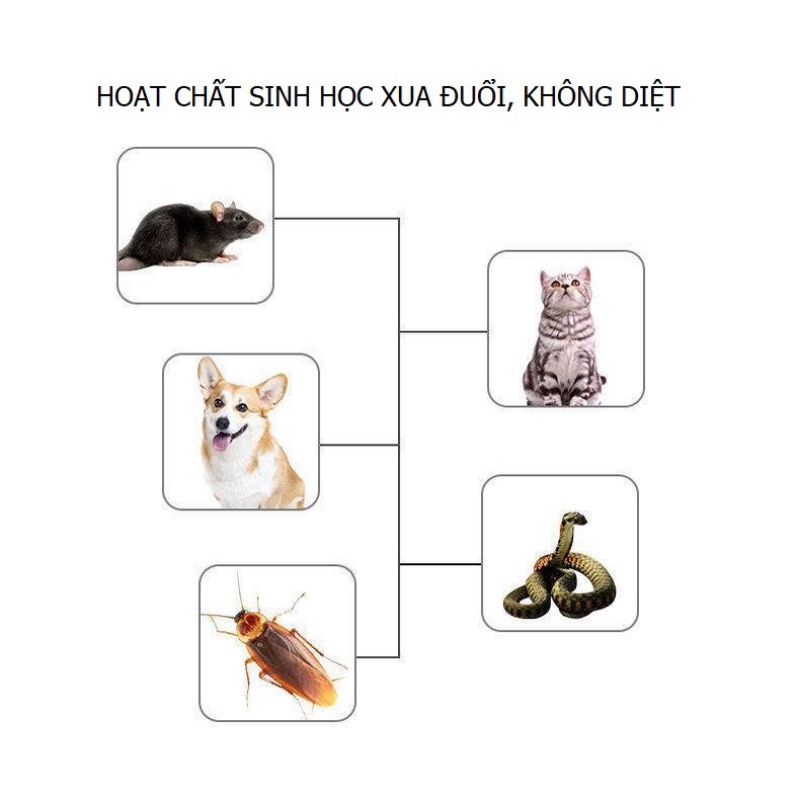 Easy to Use Chemical-Free Mouse Repellent Gel Wax