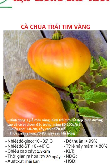 Hạt giống cà chua trái tim vàng ks - gói 20 hạt
