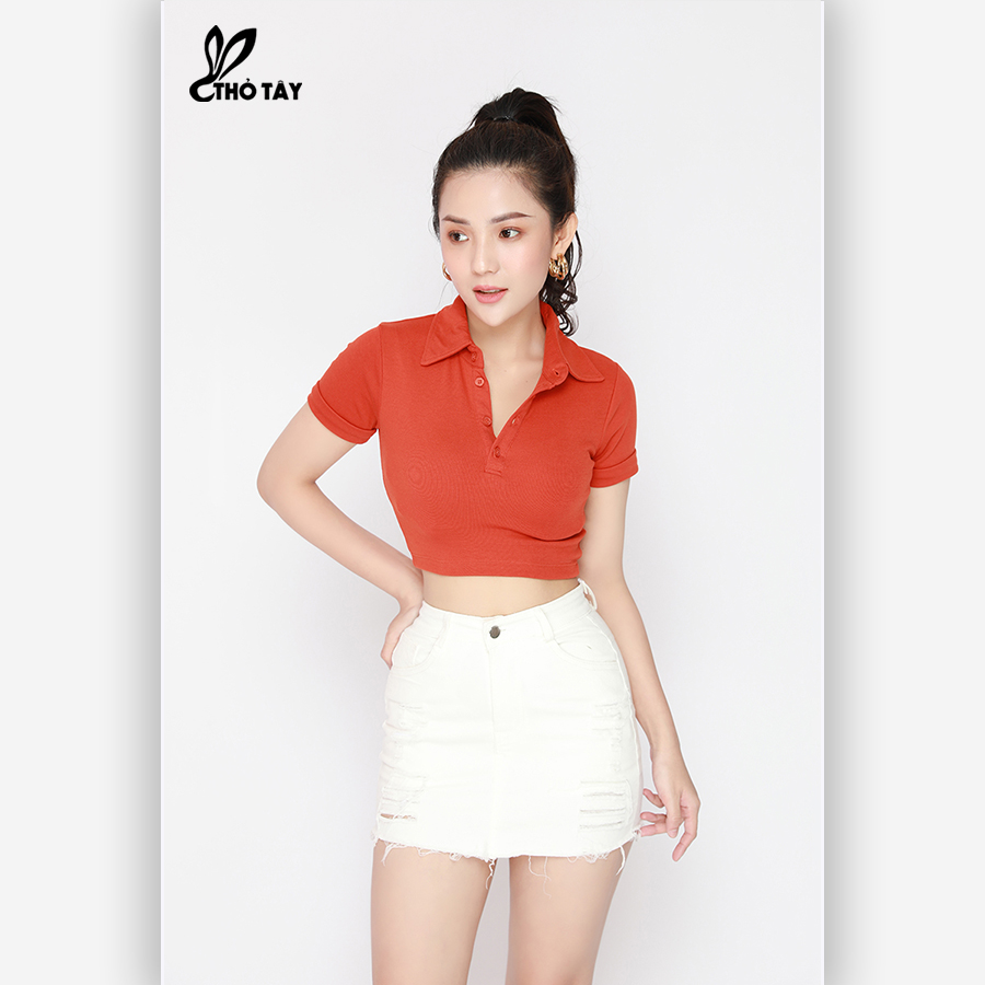 Áo Thun Nữ Cổ Bẻ Form Croptop - THỎ TÂY A220B645