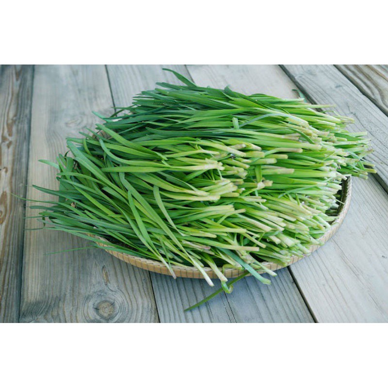 Hạt Giống Hẹ Cao Sản PhuNongSeeds - 2g