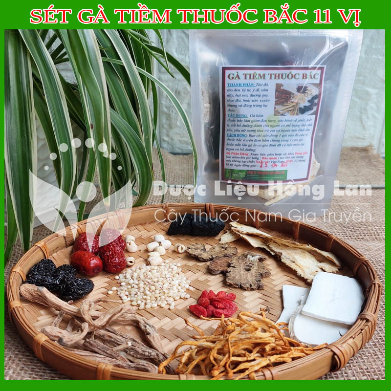 ✅ Sét G.à tiềm t.huốc bắc 11 vị - T.huố.c bắc hầm g.à, nấu canh, bồi bổ sức khỏe