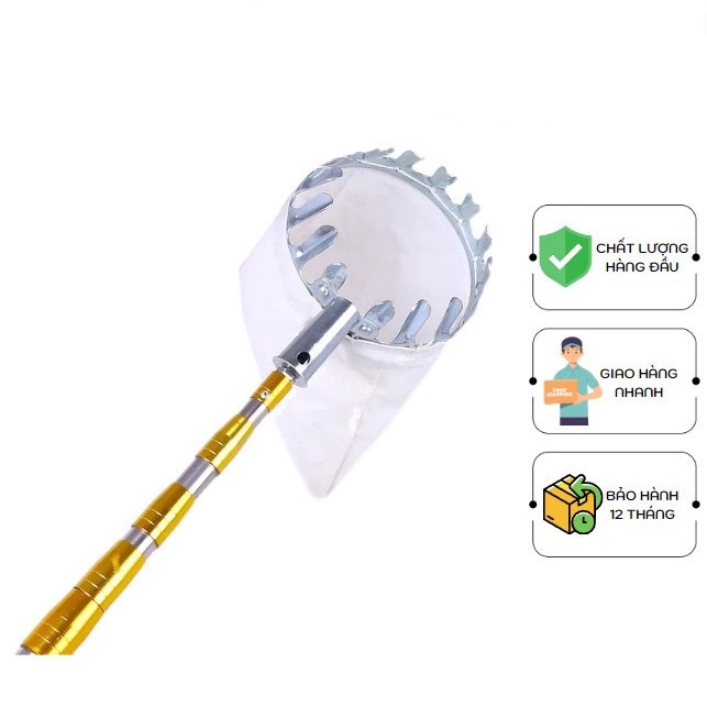 Dụng cụ gậy hái quả, sào hái trái cây, hoa quả rút gọn dài 4m - 6m hái trái dễ dàng.