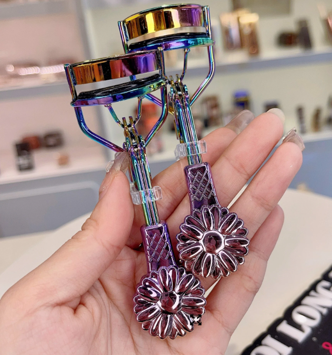 BẤM MI HOA CÚC TÍM PURPLE DAISY