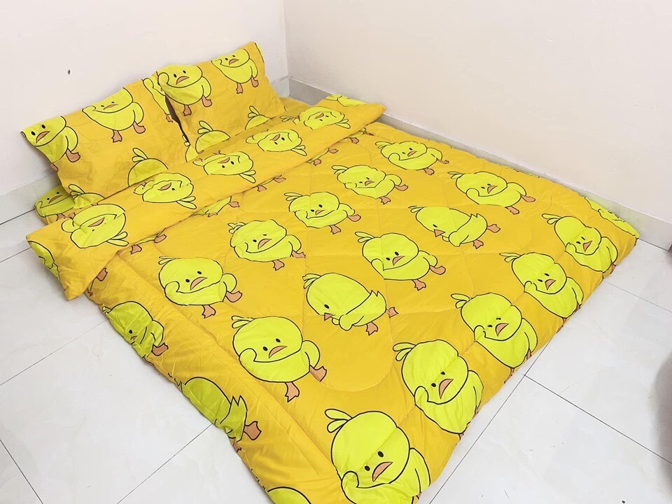 Set 5 Món Chăn Phao Ga Gối Cotton Poly Vịt Vàng