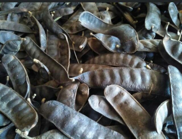 Bồ kết khô 500g