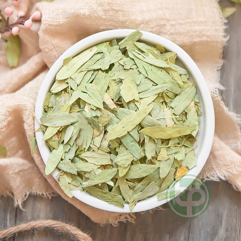 [HOT] Phan tả diệp khô trà khô túi nhỏ loại 100g - Thảo Dược Tấn Phát