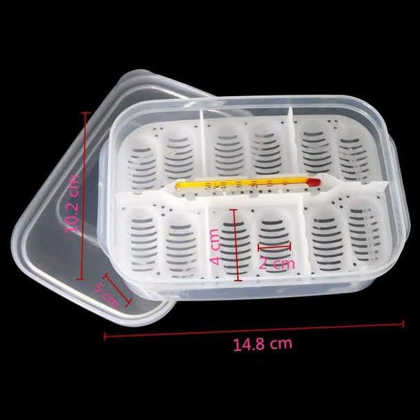 Hộp ấp trứng bò sát