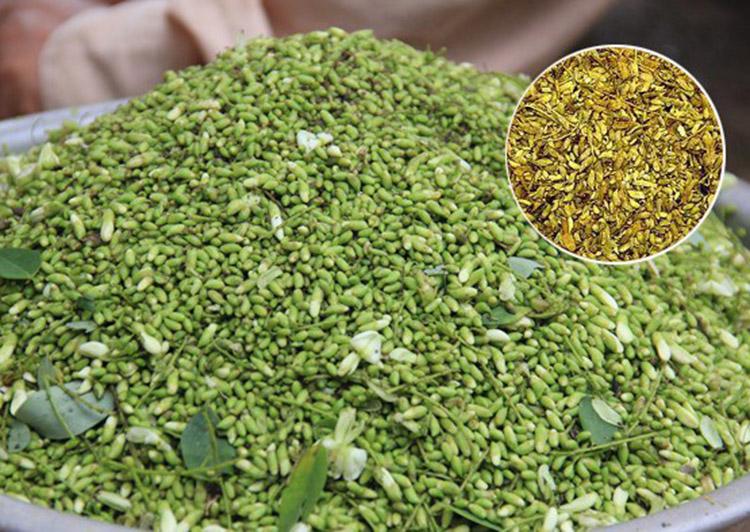[HCM]500g trà hoa hòe