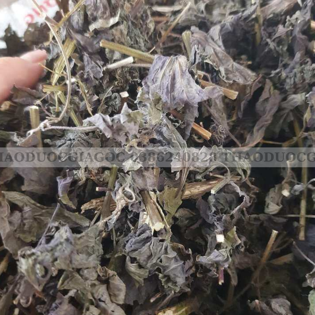 1kg lá lốt hàng chuẩn (khô thơm sạch) hàng mới