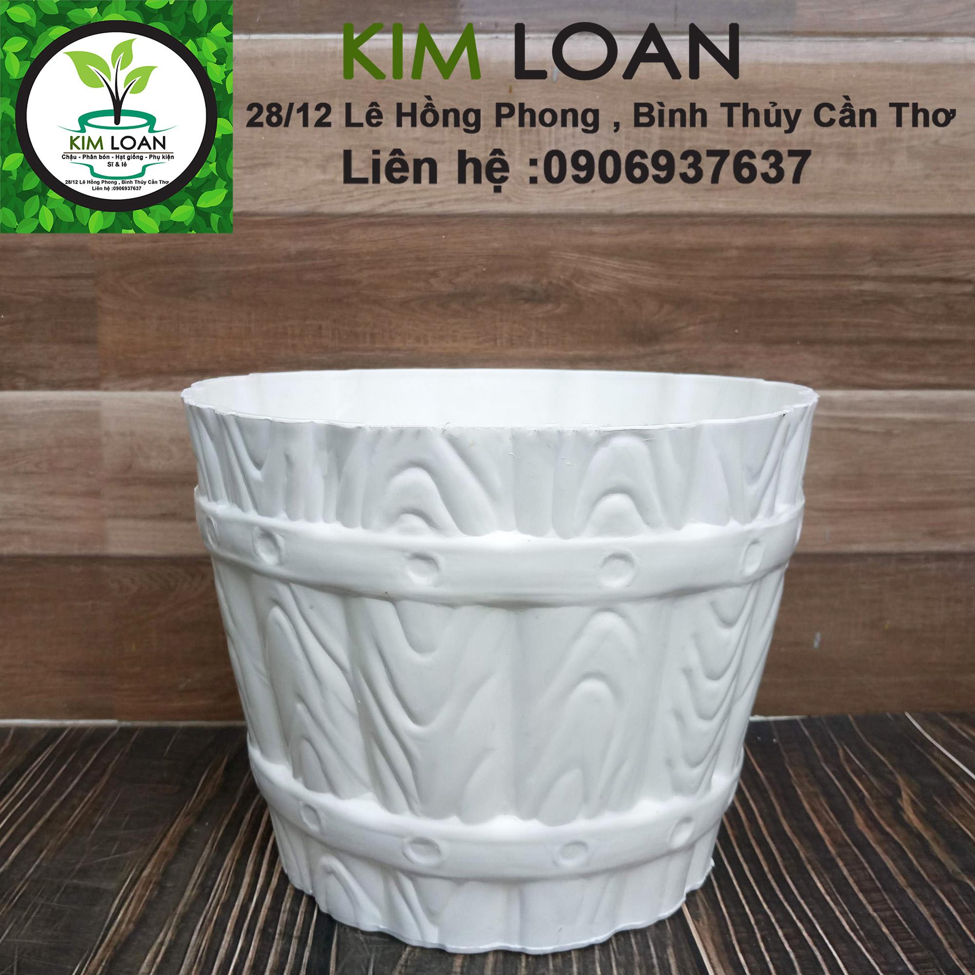 Combo 2 chậu nhựa trắng cao cấp hoa văn thùng gỗ 22x17cm