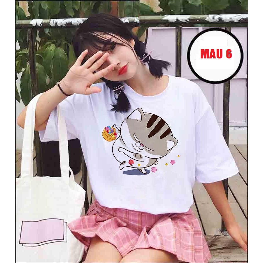 Áo phông mèo Ami bụng bự HARI0520
