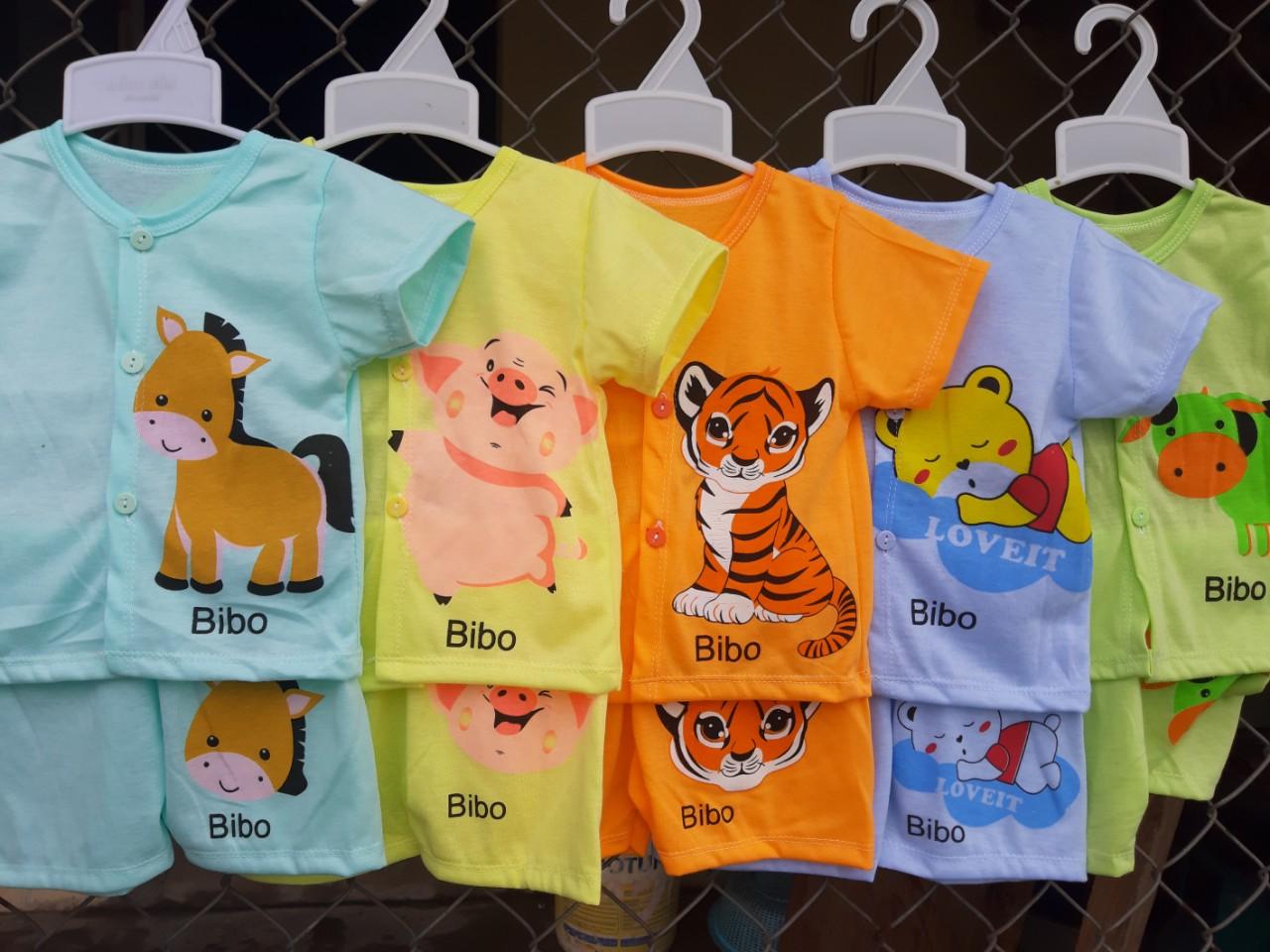 Combo 5 bộ cộc cotton cúc giữa cho bé