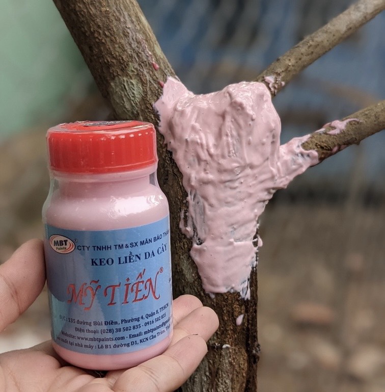 Keo liền da cây 100gr  Mỹ Tiến