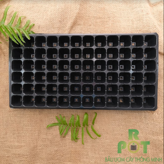 Khay Ươm Hạt Giống 72 Lỗ