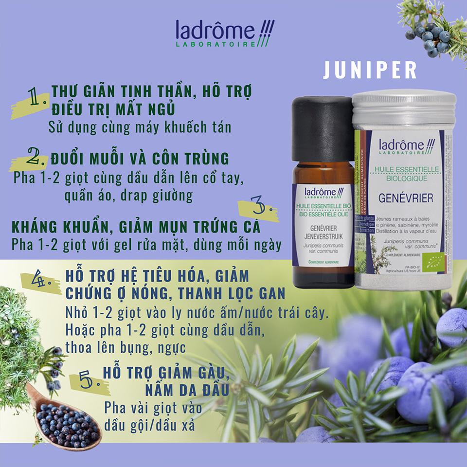 Tinh dầu Juniper hữu cơ - Juniper Organic Essential Oil 10ml