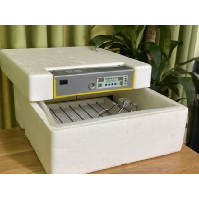 Khay nhôm đảo lăn 180 độ 60 trứng