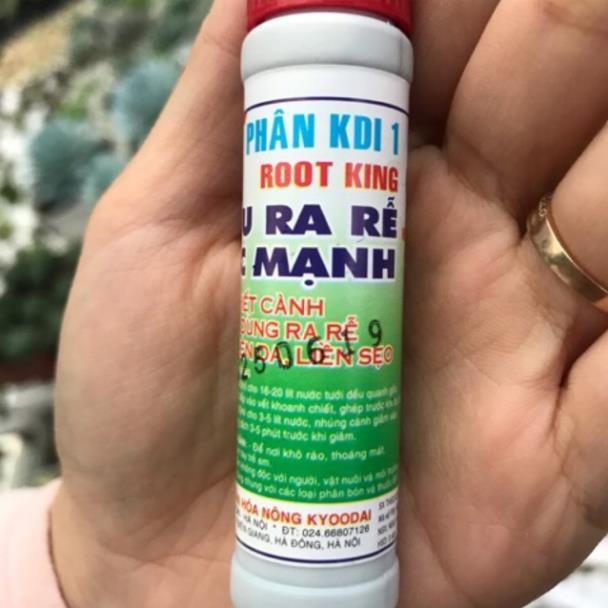 Siêu kích rễ Sen Đá và Xương Rồng