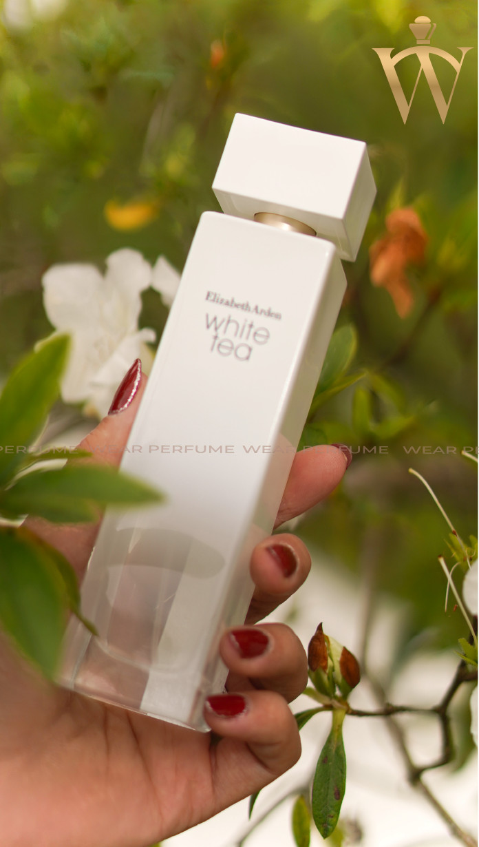 Nước hoa nữ Elizabeth Arden White Tea