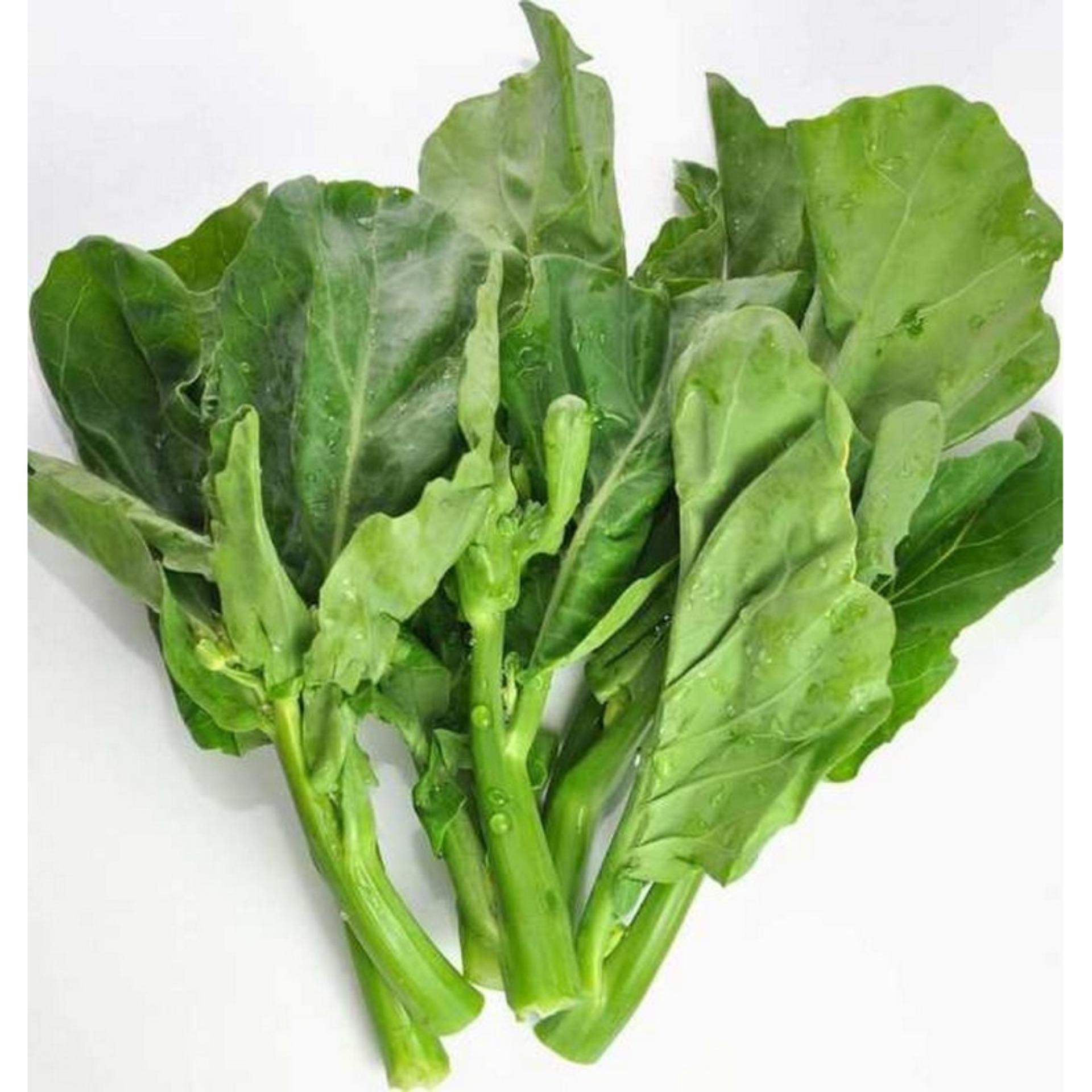 10g Hạt giống Cải rổ