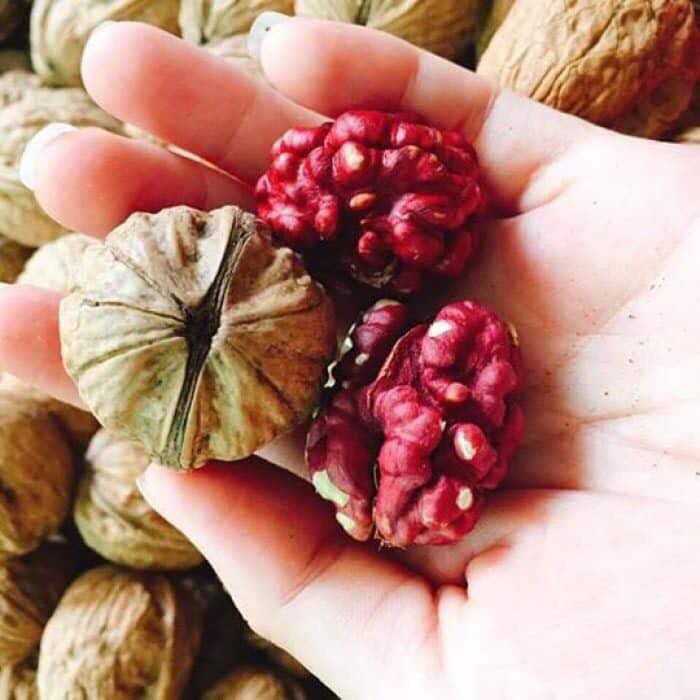 Qủa Óc chó đỏ Mỹ - 1 kg