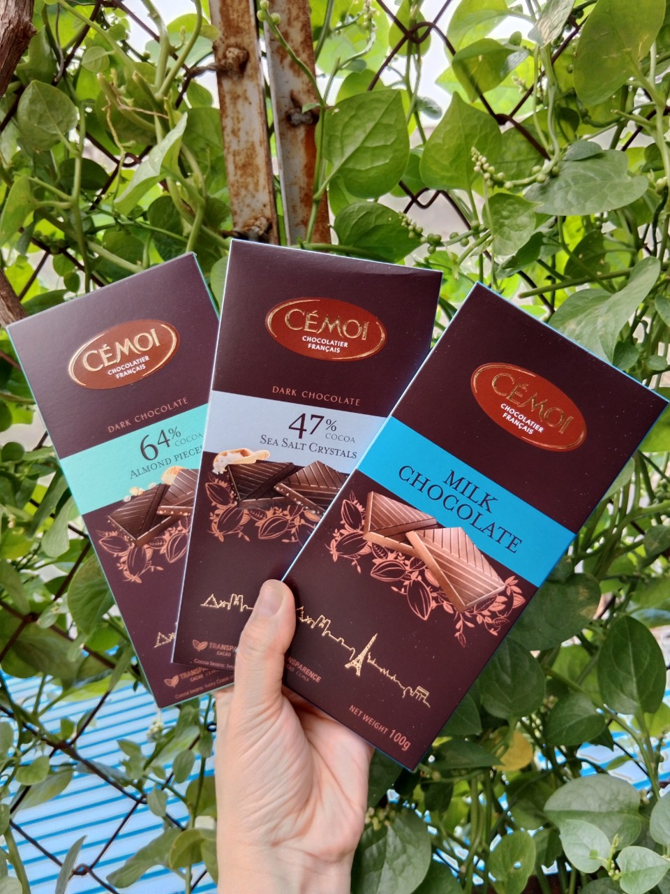 Socola Sữa Dạng Thanh Cémoi 100g - GiftLife