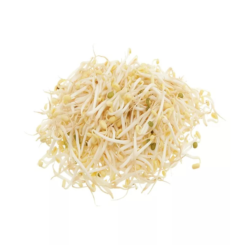 Giá Sống 300G Kamereo