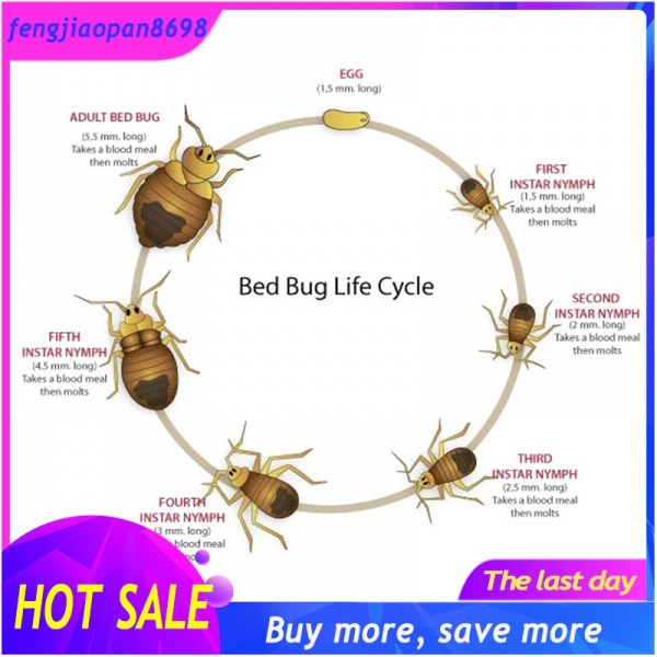 15 PCs bed bug insect killer bed bug insect killer powder killer