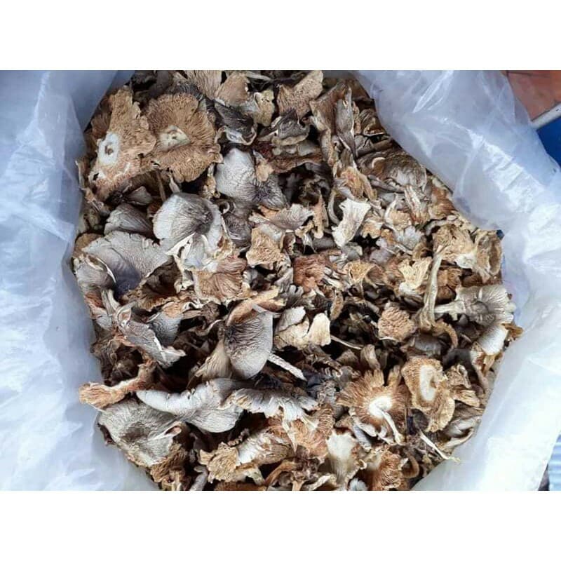 250gr nấm rơm khô đà nẵng - thơm ngon