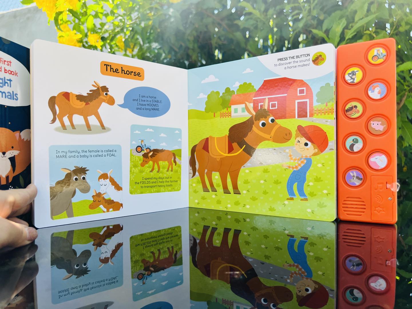My First Sound Book: On the Farm
